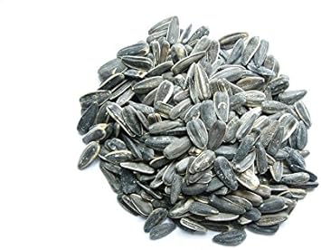 Classic Sonnenblumenkerne schwarz 20kg : Amazon.de: Garten