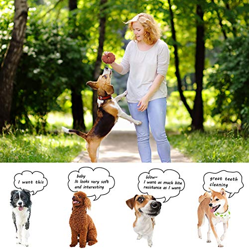 POPETPOP 4Pcs Squeaky Brinquedos Do Cachorro de Pelúcia de Frutas Forma de Cachorro Mastigar Brinque