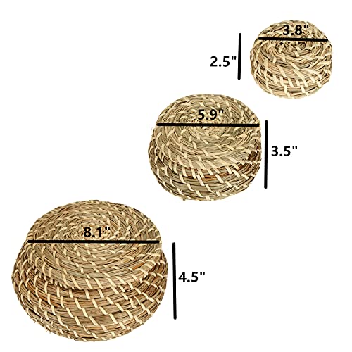 Dicunoy Set Of 3 Small Wicker Basket With Lid, Round Woven Seagrass Baskets, Little Handmade Rattan Storage Basket Box For Shelf, Home, Bathroom Decor #TOP1