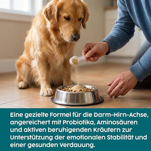 Zanipro Beruhigung für Hunde – Probiotika Hund mit L-Tryptophan, Anti-Stress Hund Pulver bei Angst bei Hunden, Silvester Hund Beruhigung & Autofahrt, entspannende Unterstützung – Rindgeschmack, 100 g