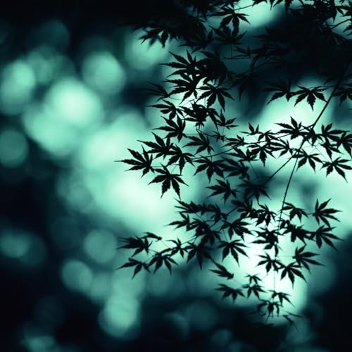 『環境音』のカバーアート