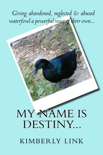 My Name is Destiny...