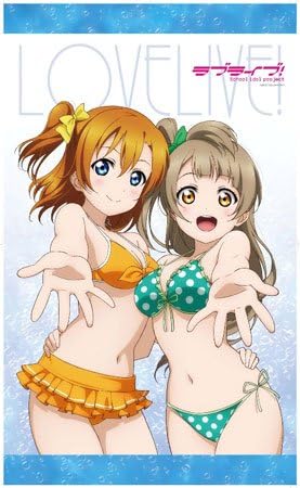 Amazon 電撃g S Festival 高坂穂乃果 南ことりシャワータペストリー 13年 12月号 付録 高坂穂乃果 南ことりシャワータペストリー アニメ 萌えグッズ 通販