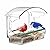BPYOT Clear Acrylic Window Bird Feeder for Outside with 4 Strong Suction Cups and Detachable Seed Tray, Highly Transparent Outdoor Viewing Birdfeeder, Wild Bird House Box