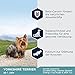 Eukanuba Breed Specific Yorkshire Terrier Trockenfutter - optimal auf die Rasse abgestimmtes Premium Hundefutter mit Huhn, 2 kg
