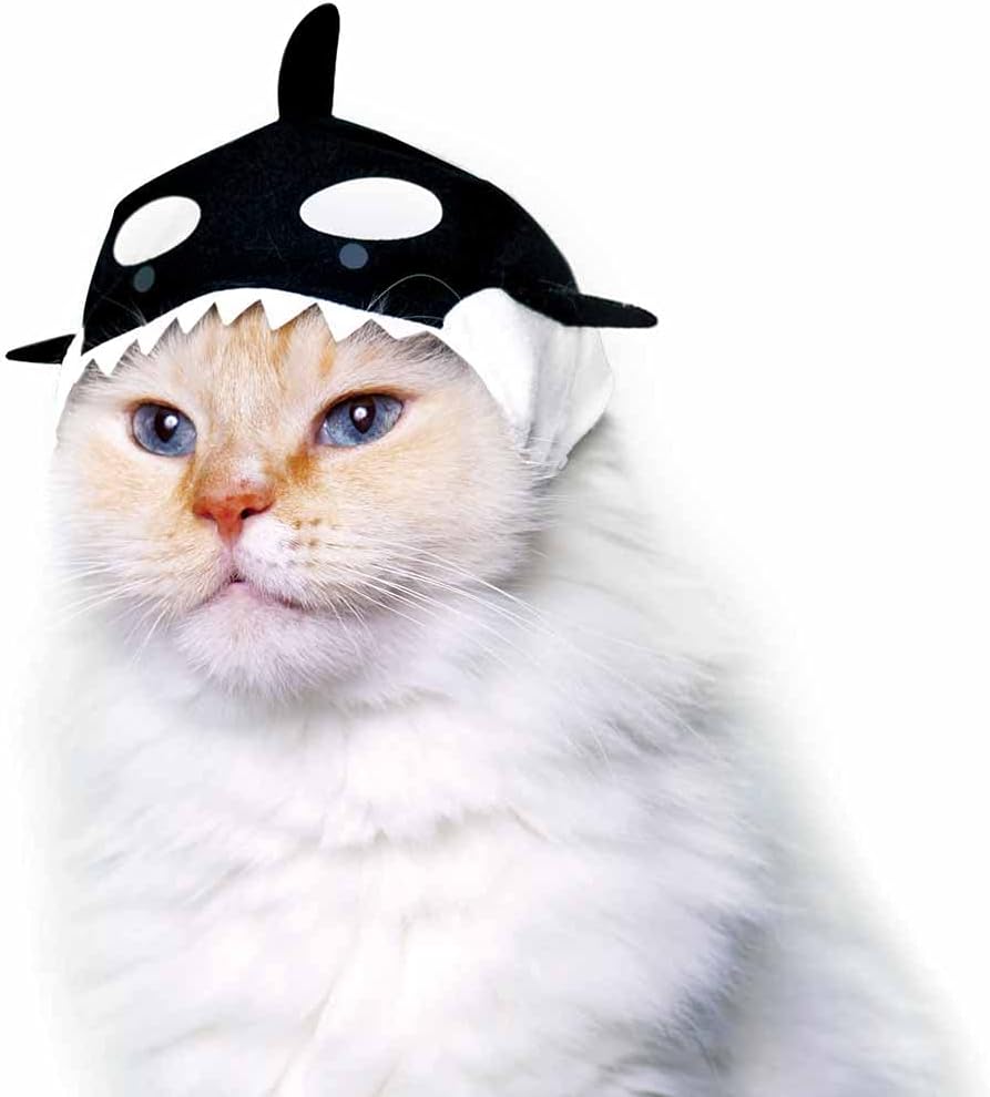 Kitan Club Cat Cap - Pet Hat Blind Box Includes 1 of 6 Cute Styles - Soft, Comfortable - Authentic Japanese Kawaii Design - Animal-Safe Materials, Premium Quality (Aquarium)