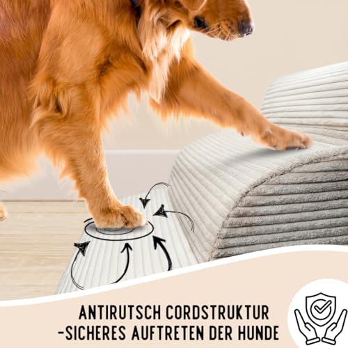 Hundetreppe Cord beige Hunderampe aus Schaumstoff - Katzentreppe - Tiertreppe - Haustiertreppe - Hundetreppe Bett - 3 Stufen Hunderampe