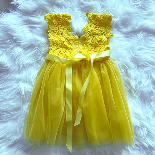 BGFKS Baby Girl Flower Lace Dress Elegant Princess Toddler Tulle Dress for Wedding Birthday Party.3