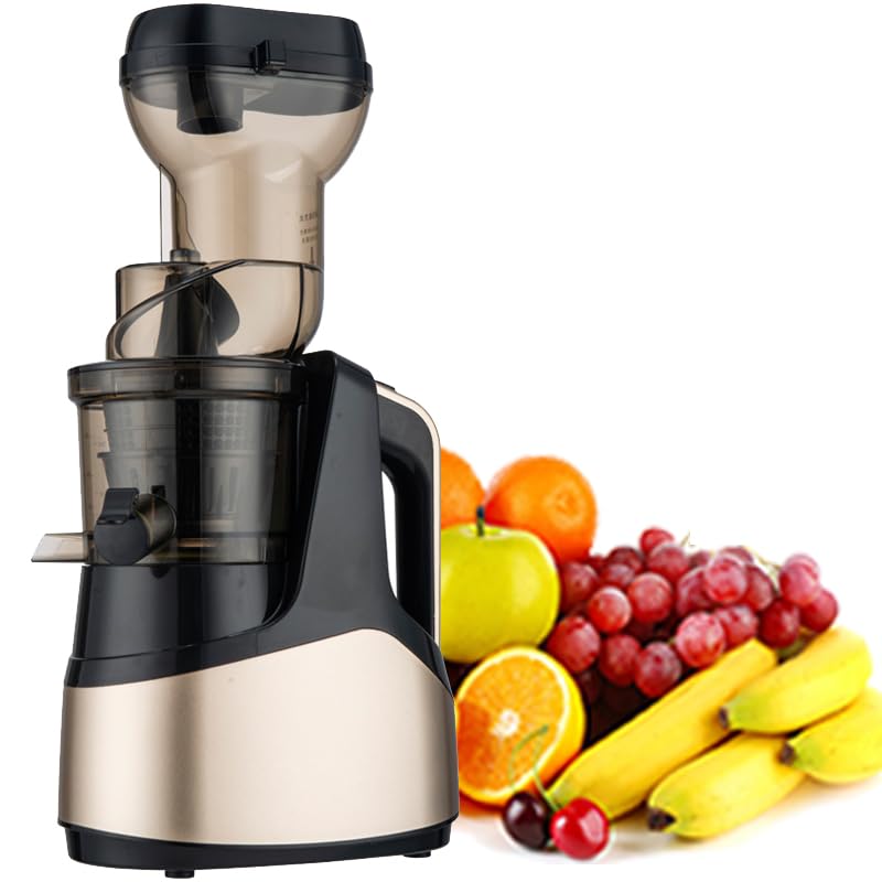 LKYLGYU Extractor de Jugo, Separador de Jugo, fácil operación y Limpieza, Baja Velocidad y prensado Lento, Tornillo de 8 Hilos, Recipiente Transparente (1 L), Beber Directamente
