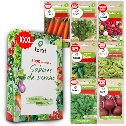 LW TORAF Set de Semillas Huerto 7 Variedades Premium de Hortalizas, 3000 Semillas, plantas de Jardín Balcón, Cocina, Zanahoria, Perejil, Rábano, Espinaca, Remolacha, Lechuga, plantas aromaticas