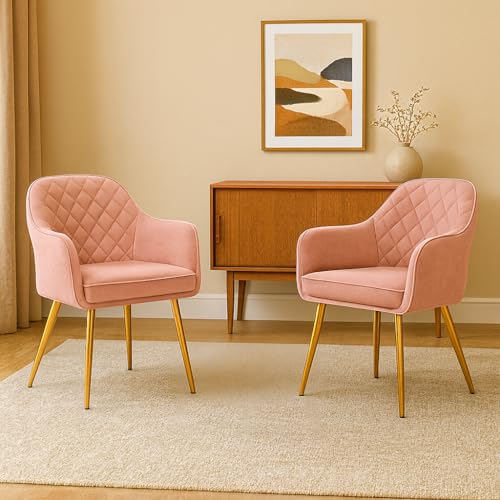 Image of Barfi Velvet Dining Chair | Set of 2 Premium Modern Upholstered Accent Chair with Armrest, Padded Seat and Metal Legs | Comfy Chair for Home, Office & Restaurents | (Pink)