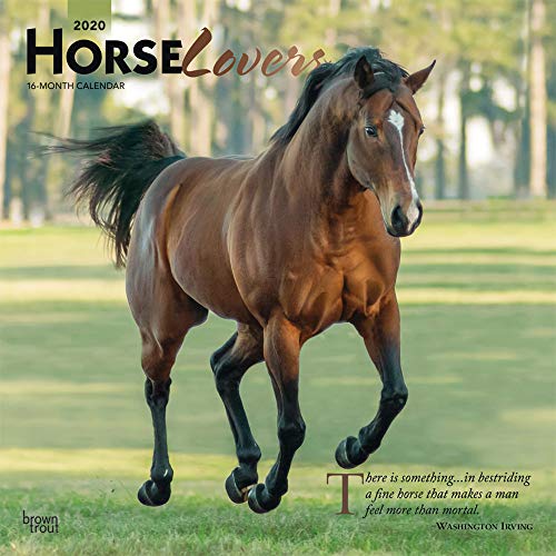 Télécharger Horse Lovers 2020 Calendar: Foil Stamped Cover PDF Ebook En Ligne