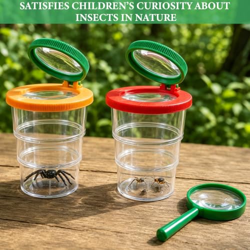 Lot de 4 kits insectes