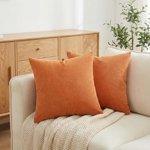 EVAsponge 18x18 Decorative Throw Pillows