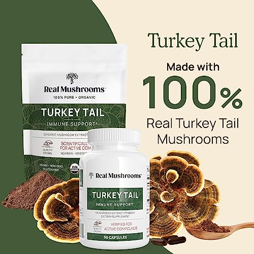 Real Mushrooms Turkey Tail Powder - Organic Mushroom Supplement with Potent Extract for Gut, Energy, Brain, Immune Support Vegan Powder, Non-GMO, 100 Servings - Image 3