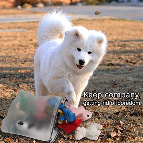 Lot de 12 jouets couineurs en peluche à mâcher pour chiens de petite et moyenne taille - Image 7