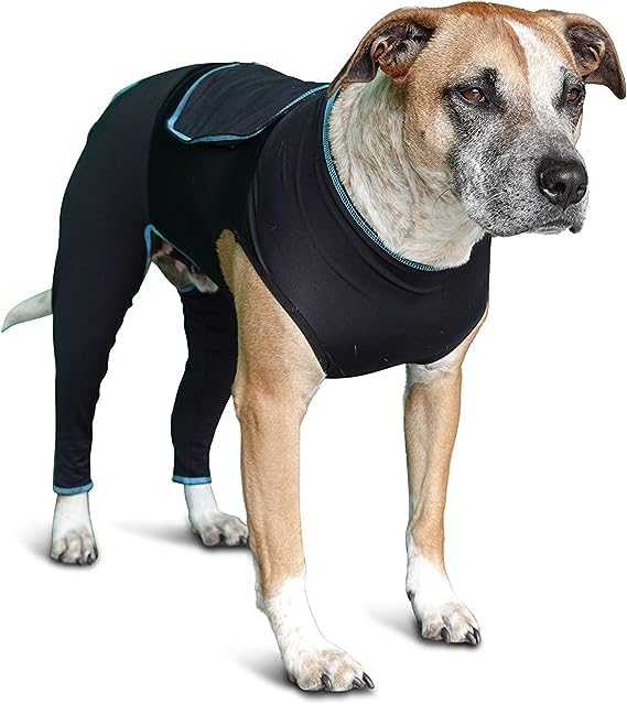 Image of BENEFAB Therapeutic Comfort Suit for Dogs - Lightweight Far-Infrared Jacket for Canines of All Ages - Relaxing FIR Compression Suit Soothes Muscles, Joints, and Pain (Small)