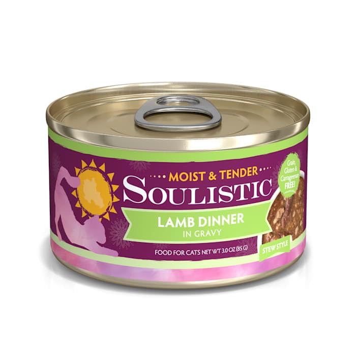 Soulistic Moist and Tender Lamb Dinner in Gravy