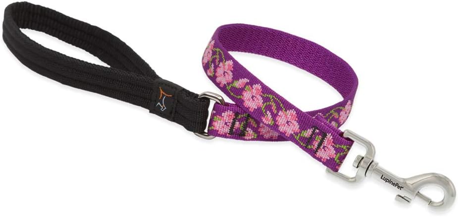 LupinePet Originals 3/4" Rose Garden 6-Foot Padded Handle Leash for Medium and Larger Dogs