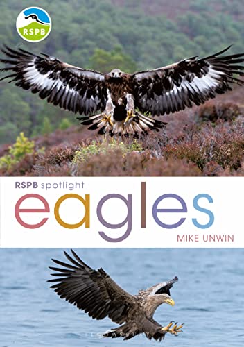 RSPB Spotlight: Eagles view 2