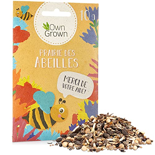Mélange de fleurs pour prairie d'abeilles : 10g de graine d'abeilles à semer pour exterieur - semis de fleur annuelles et vivaces à planter en jardin ou potager - Qualité premium OwnGrown Cover