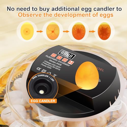 Incubadora de huevos con giro automático, pantalla LED digital y control de humedad para huevos de pollo, pato, codorniz, aves y palomas