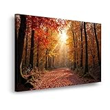 HJ KIDS Leinwandbild 20x30 cm – Waldpark Naturmotiv – Bild auf Leinwand, moderne Wanddeko fürs Wohnzimmer, Schlafzimmer & Büro, Wandbild fertig zum Aufhängen