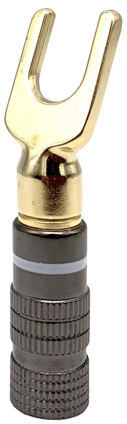 https://m.media-amazon.com/images/I/51rh0Km5S4L.jpg