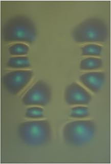 Magnetic Field Viewing Film 4"x6", Magnetic Flux Display,Magnetic Field Detector & Visual Aid for Physics Education,Ideal for Research & Magnetism Demonstrations,Cool Magnets Science Kit