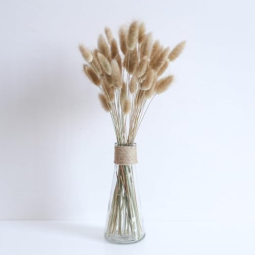 Miniatura 4 de 60 piezas de flores secas de cola de conejo, arreglo floral natural seco, ramo de decoración de hierba seca, flores eternas secas para el hogar,