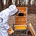 Aivituvin Bee Hive Bee Box 10 Frame Upgrade with All -Around Metal Frame Bee Castle Coated with 100% Beeswax Includes Waxed Foundations,2 Deep Boxes & 1 Medium Box