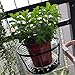 Estante de Flores Estante de Flores Que Cuelga Soportes de Plantas Portátiles...