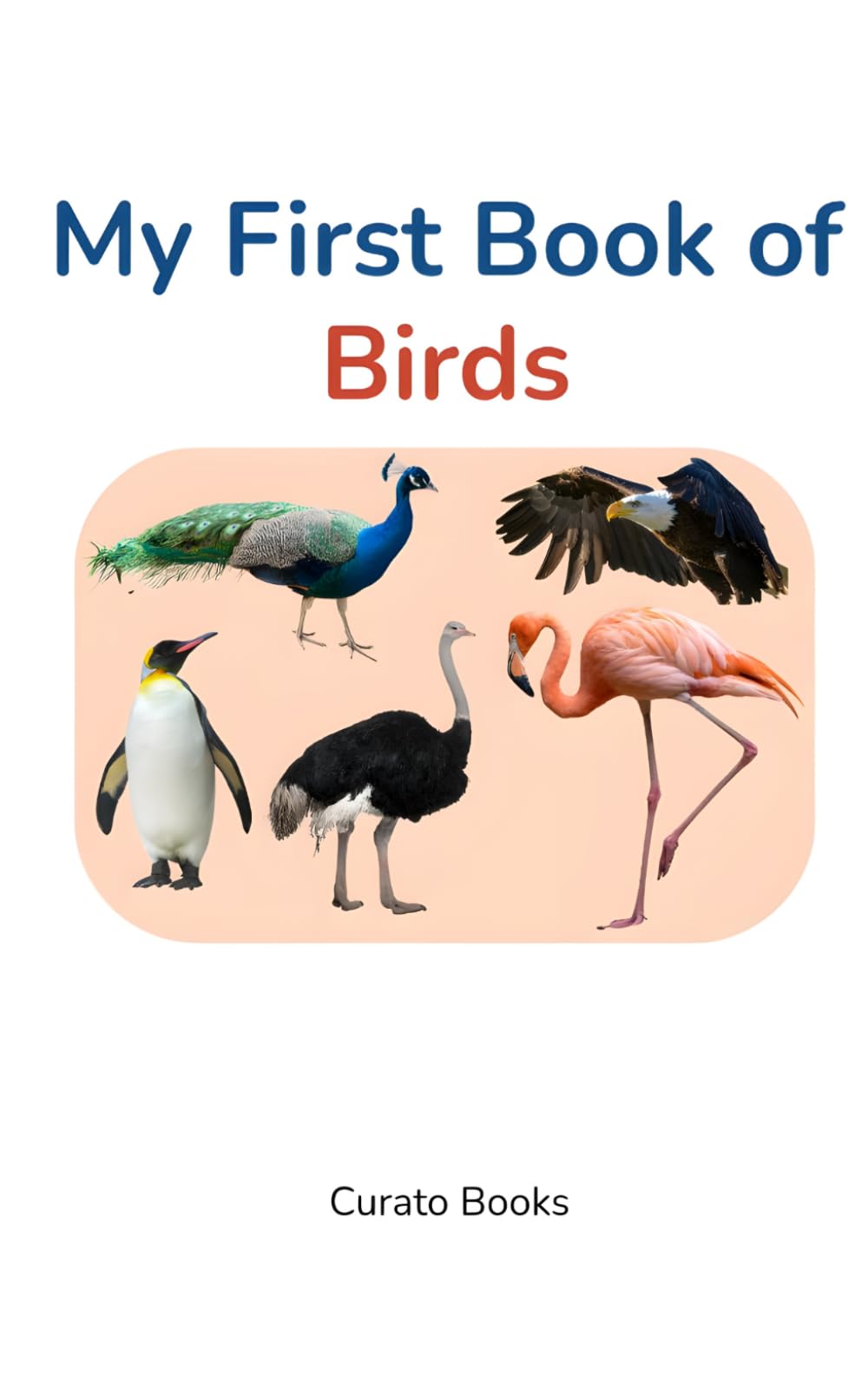 My First Book of Birds for Toddlers: Learn Bird Names with Fun Pictures | Preschool Early Learning Book for Kids Ages 2–4