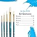 Princeton Real Value, Series 9100, Paint Brush Sets for Acrylic, Oil & Watercolor Painting, Syn White Taklon (Rnd 3/0, 2, 4, Flat 2, 6)