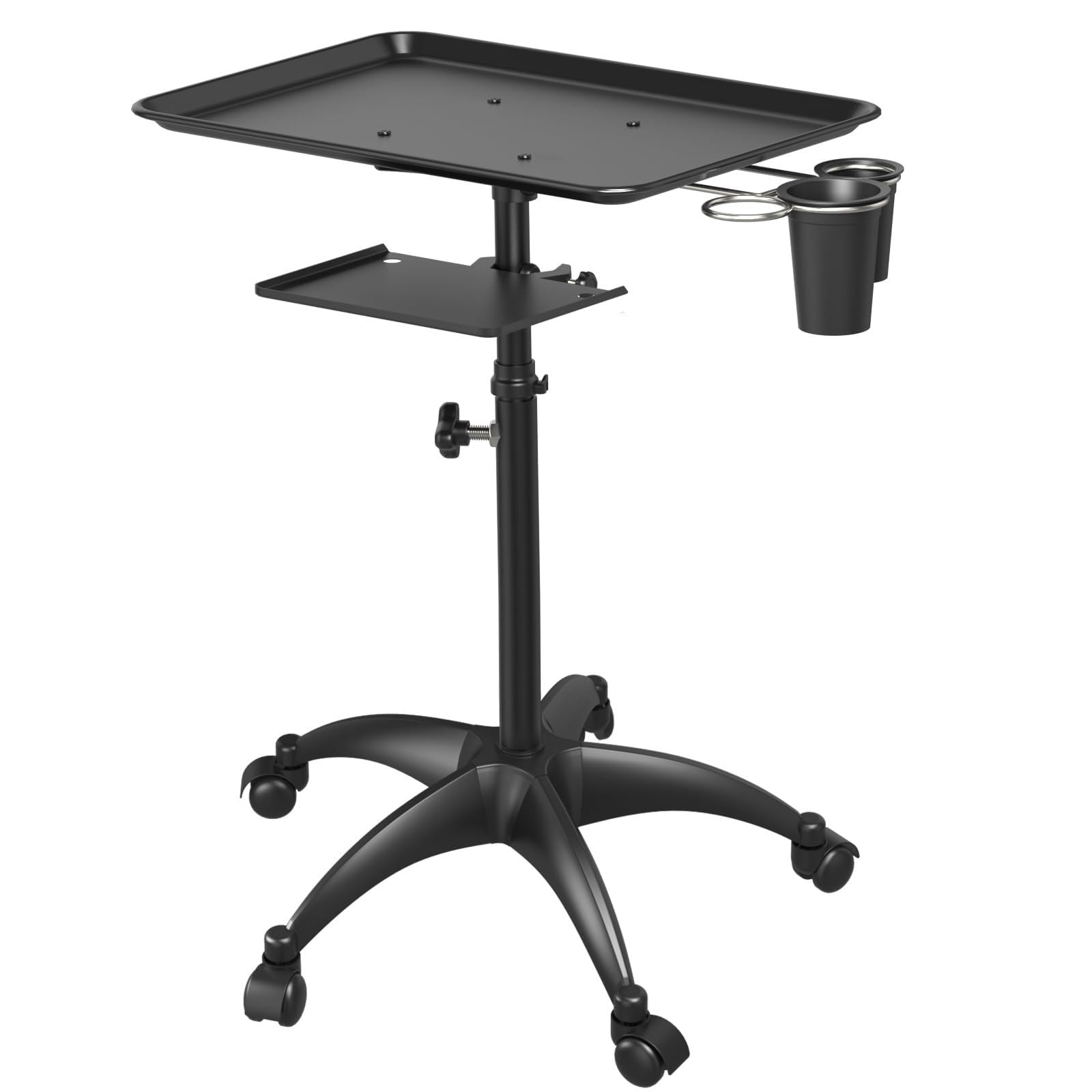 Carrello in Metallo a Due Livelli | Base a Cinque Ruote Girevoli, Carrello da Parrucchiere, Multiuso, salone Estetico, Estetiste