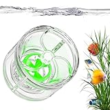 Bomba de circulación de agua | Circulador brillante, bomba de circulación...