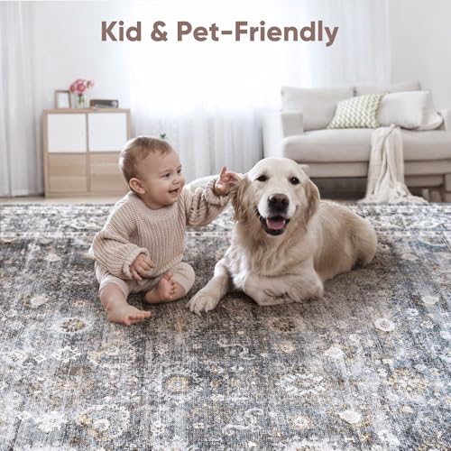 Image of Rugcomf Area Rug 5x7 for Living Room Washable Vintage Non Slip, Grey
