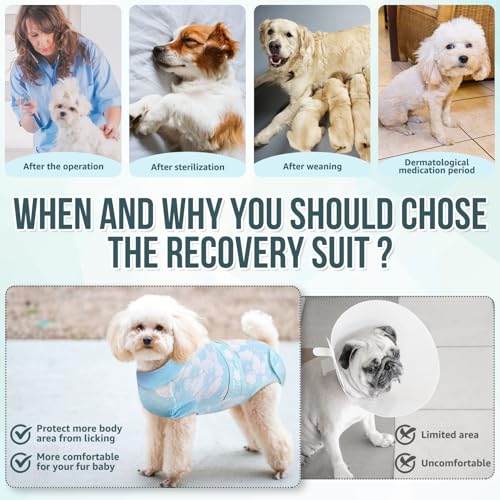 Nasjac Dog Surgery Recovery Suit - Zipper on Recovery Onesie for Female Dog by Nasjac - Used condition - Image 4