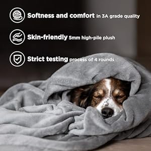 Bedsurefleecebedblanketsqueensizegreysoftlightweightplushfuzzycozyluxuryblanketmicrofiber90x90inches Urban Country Home Decor Bedsure fleece bed blankets queen size grey soft lightweight plush fuzzy cozy luxury blanket microfiber 90×90 inches urban country home decor