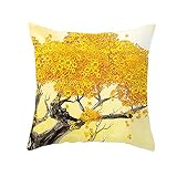 ◣ DISEÑO: Diseño de cierre de cremallera invisible para un buen aspecto. Fácil de poner o sacar el inserto de almohada. El diseño oculto de la cremallera hace que las fundas de almohada sean más hermosas y no te rayen.