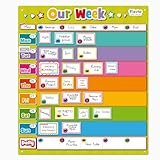 Magnetic Weekly Planner Timetable by Fiesta Crafts - Kids Schedule Planner - Visual timetable for kids and the Whole Family -Visual Wipe-Clean Magnetic Daily Calendar For The Family's Activities
