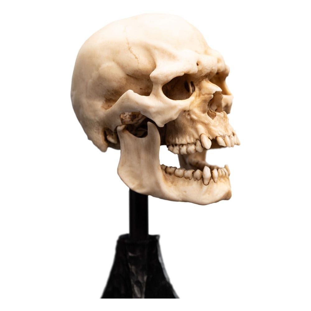 Weta Workshop Le Seigneur des Anneaux Statuette Skull of a Mordor Orc 14 cm