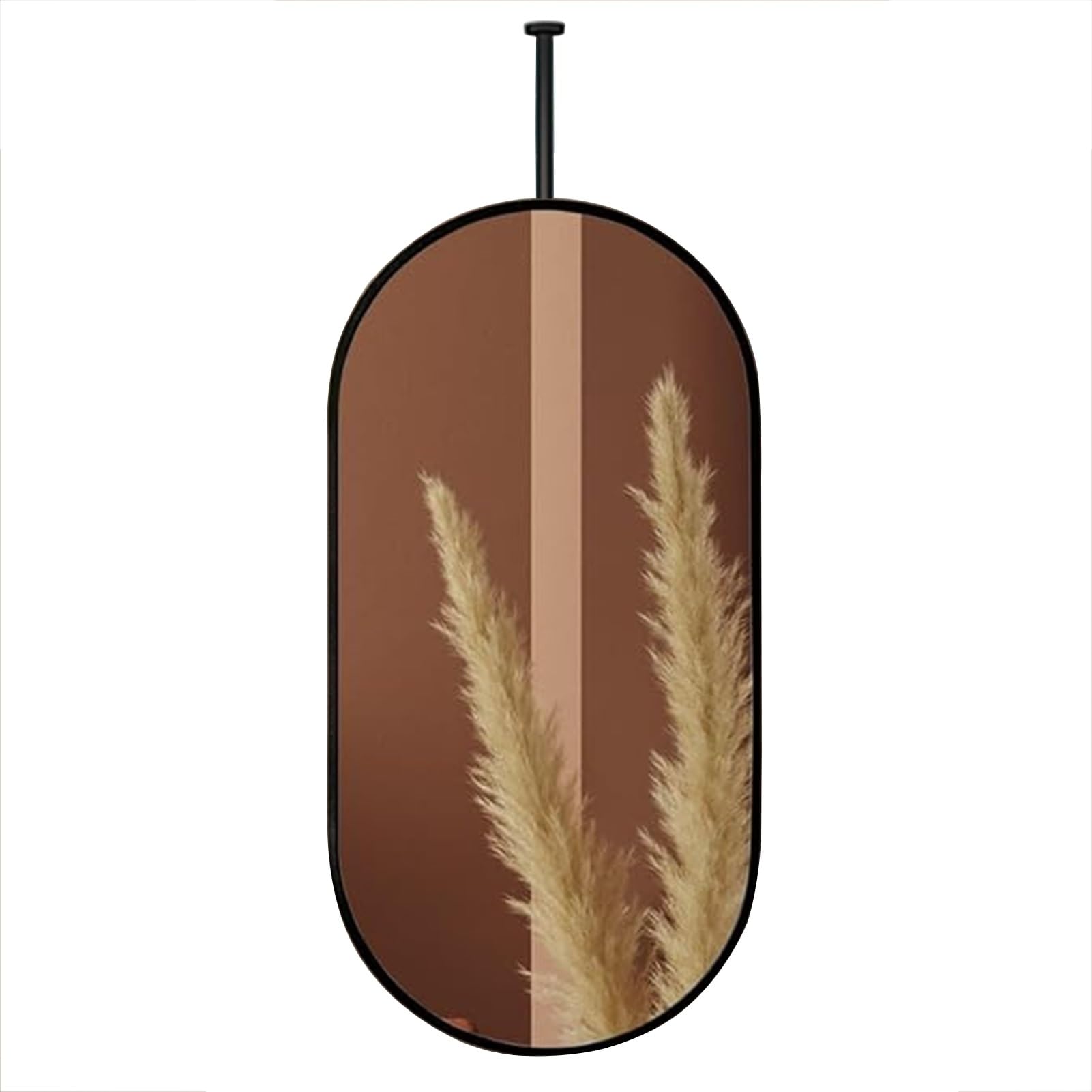 FGXHHS Ceiling Mounted Hanging Rod Mirror with Black Metal Frame, Decorative Simple Bathroom Vanity (Boom Can Be Customizable) (Size : 40cmx60cm)