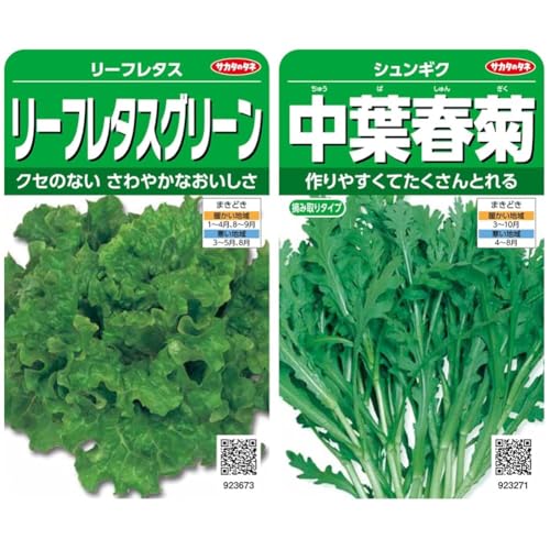 【セット買い】サカタのタネ 実咲野菜3673 リーフレタスグリーン リーフレタス 00923673 + 実咲野菜3271 中葉春菊 シュンギク 00923271