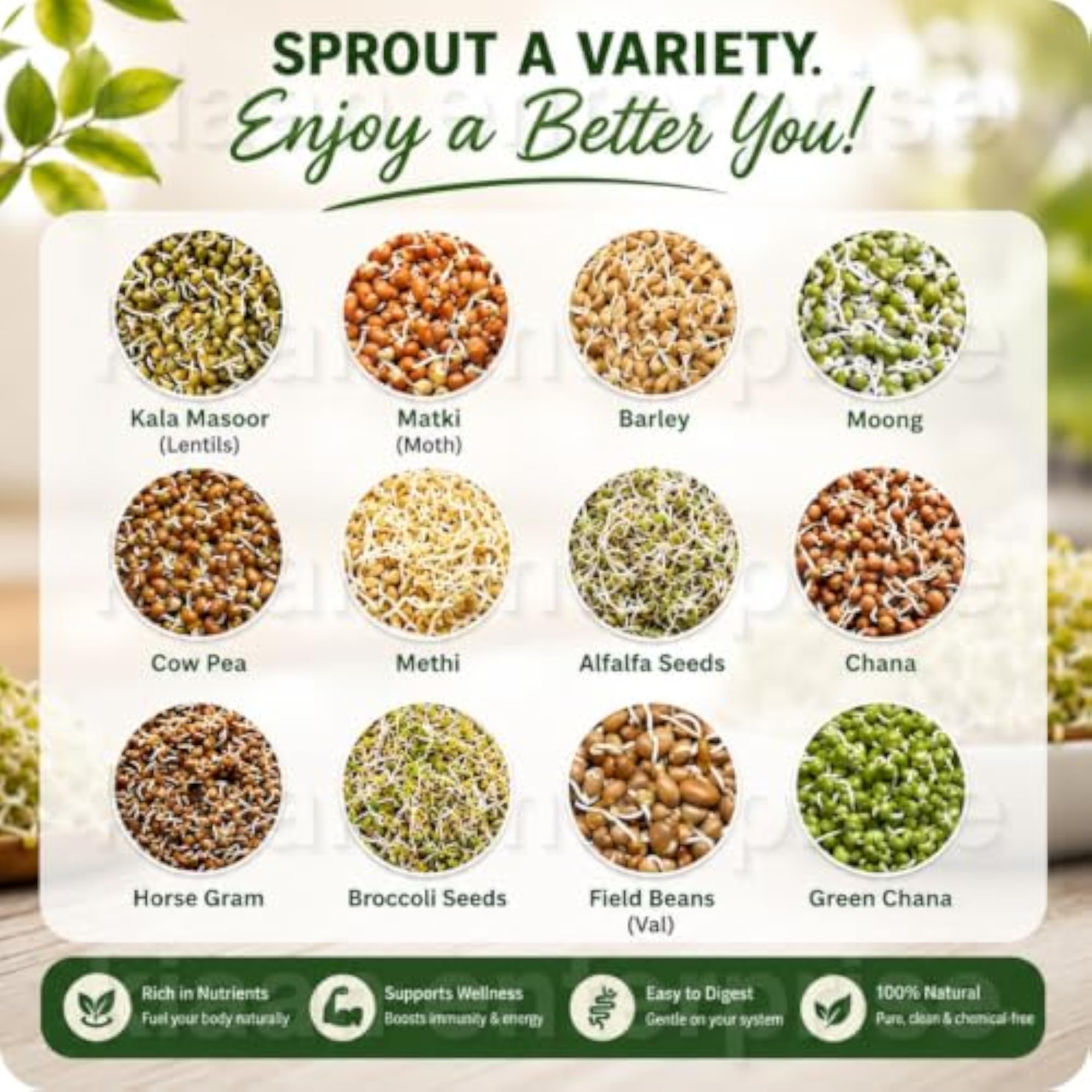 Sprouts Maker Jar for Healthy Home Sprouts