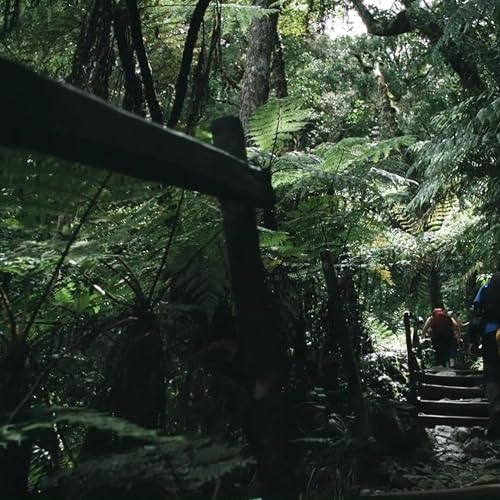 『Do this After Fajr Prayer l Mufti Menk Speech』のカバーアート