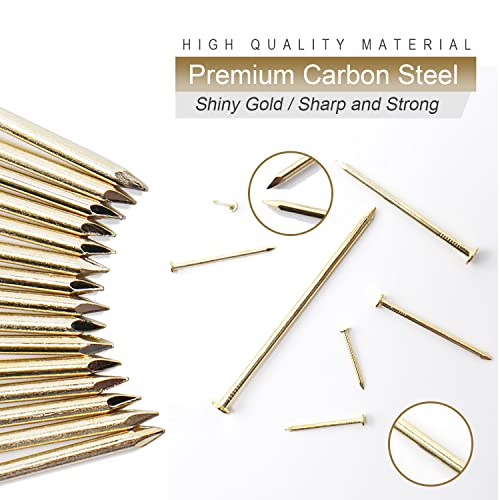 6 Sizes Gold Hardware Nails Assortment Kit, 358Pcs, Brass Plated, Nails For Hanging Pictures, Finishing Nails, Wood Nails, Wall Nails For Hanging (3”, 2”, 1-1/2”, 1-1/4", 1”, 3/4") #TOP3