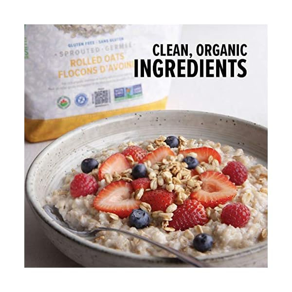 One Degree Organic Foods Sprouted Rolled Oats, USDA Organic, Non-GMO Gluten Free Oatmeal, 24 oz., 4 Pack