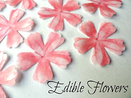 Assorted Pink Wafer Paper Flowers In 3 Different Shapes And Sizes Ranging From 1 Inch To 2 Inch For Decorating Desserts Pack Of 26 #TOP2