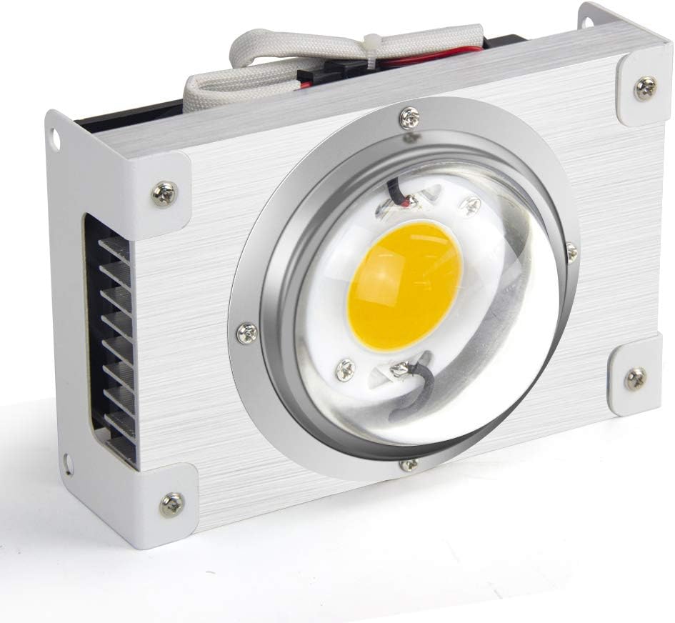 Cf Grow 100wフルスペクトル屋内成長ライト Cree Cxb3590 3500k Cob Led植物育成ライト 代替hpr0w 野菜 花 チェリートマト 葉物野菜 ハーブベースの栽培 水生植物 ジューシーな植物 観葉植物 家庭に使用 庭 水耕栽培 屋内栽培および植物工場 Led植物育苗光 販売